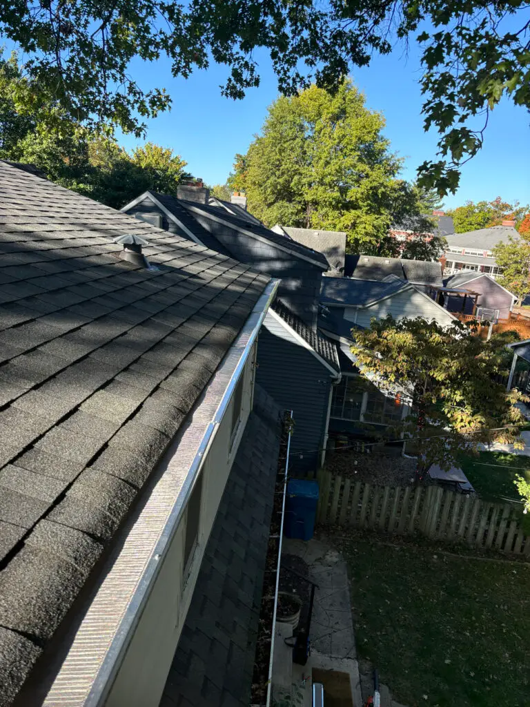 gutter cleaning services